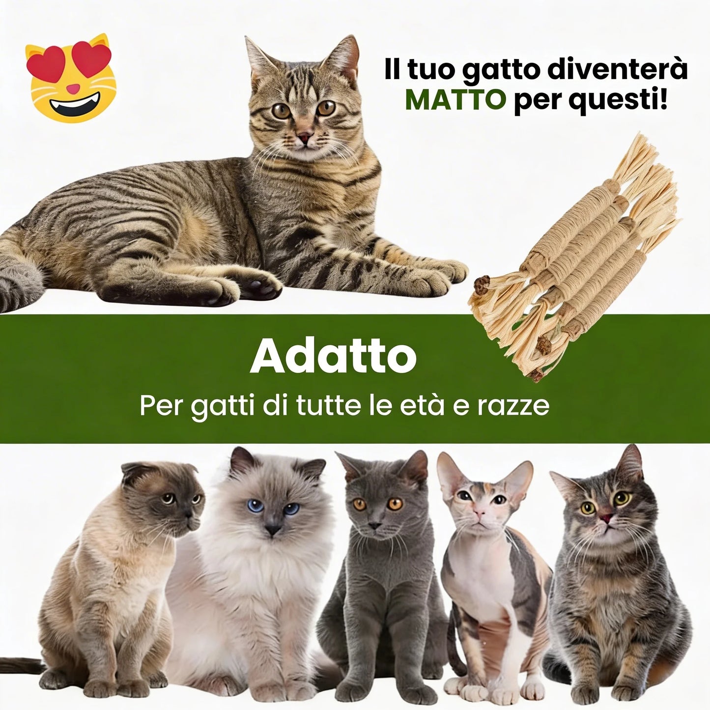 FusaSticks™ Bastoncini Naturali di Matatabi