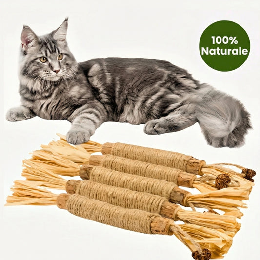 FusaSticks™ Bastoncini Naturali di Matatabi